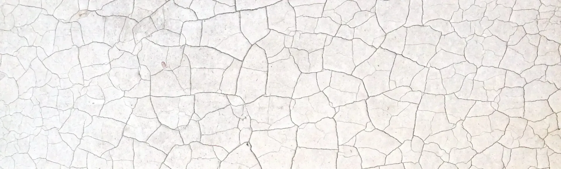 Close-up of a pale, dry surface covered in a fine network of cracks.